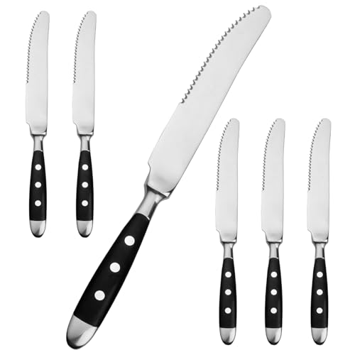 Alata Steakmesser Set 6 Stück,Küchen Steakbesteck Messer set,Scharfe Pizzamesser, Schwarzen Griffen,Edelstahl poliert,Wellenschliff,für Haushalte das Esszimmer, Serie Berlin