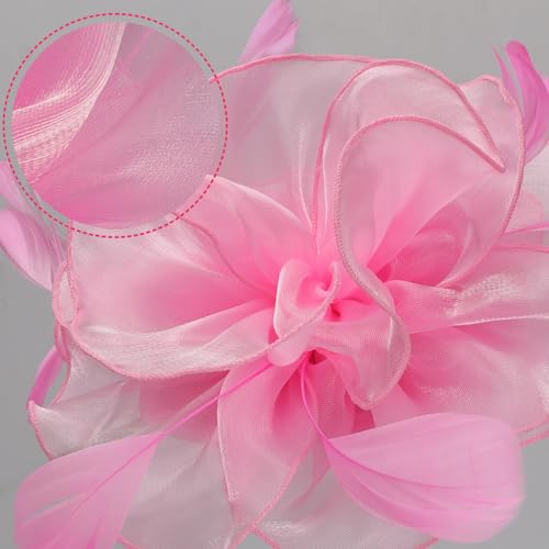 Image of DRESHOW Fascinators Hat Tea Party Headwear Ribbons Feathers on a Headband and a Clip for Women