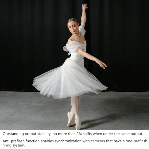 image for Godox MS300V MS300-V Compact Studio Strobe Flash Light, Portable Photo