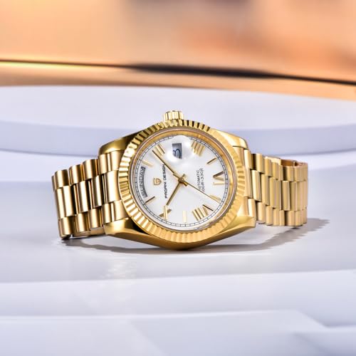 Image of LACZ DENTON Pagani Design DD36 Men's Watches Luxury Automatic Watch Men AR Sapphire Glass Mechanical Wristwatch Men 10Bar ST16 Movement