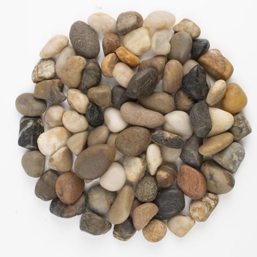 LOOIOOJ 10LB Mixed Stones Pebbles River Rocks, Natural Beach Pebbles,0.5-1