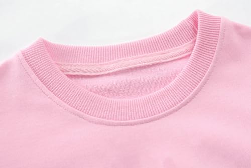 Girls Easter T Shirt Cute Bunny Easter Egg Tee Gnomes Chicks Happy Easter Clothes Pink Long Sleeves 2-7 Years2