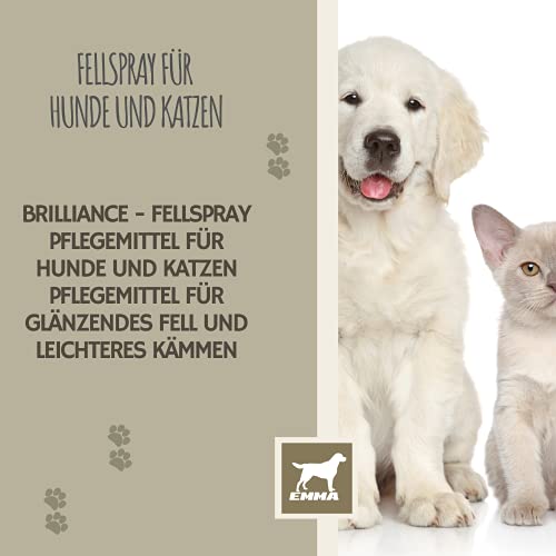 EMMA Fellpflege Spray Hund & Katze 2×250 ml Entfilzungsspray für Hunde Katzen Welpen – Anti Filz Spray für Langhaar Kurzhaar – Knotenlöser Detangler Fellspray zum Entfilzen Bürsten Pflege