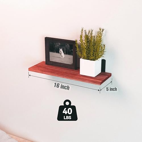 Image of Dime Store Engineered Wood Floating Wall Shelves for Storage Organizer, Shelf for Bedroom Bathroom Storage Shelves, Kitchen Spice Rack Book Shelves for Living Room (Brown, Set of 4)