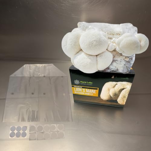 Myco Labs Lions Mane Mushroom Grow Kit | Large 5.5 LB Fruiting Block | with Custom Humidity Tent & Filters | Grow Anywhere