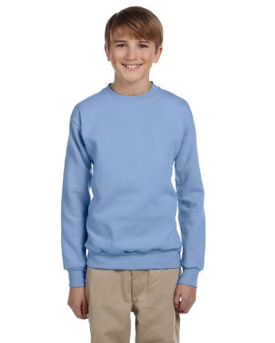 Hanes ComfortBlend EcoSmart Crewneck Sweatshirt (P360) Light Blue, S
