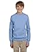 Hanes ComfortBlend EcoSmart Crewneck Sweatshirt (P360) Light Blue, S