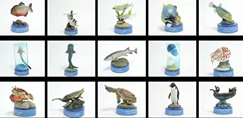 Amazon.co.jp: 日本水族館 立体生物図録2 全15種 コンプリートセット