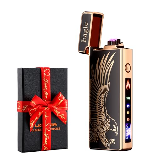 dachance – Briquet électrique personnalisable, résistant au vent, rechargeable par USB, double arc, pour le camping, cadeau de la Saint-Valentin (aigle)