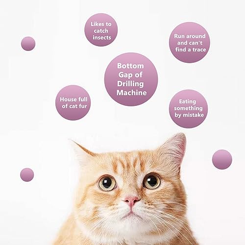 Clôture pour chat facile à nettoyer pour simplifier votre quotidien