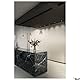 SLV Pendelleuchte PARA CONE GL / Wohnzimmer-Lampe, Innen-Beleuchtung, Hänge-Leuchte Esszimmer, LED, Decken-Leuchte / GU10 25W schwarz