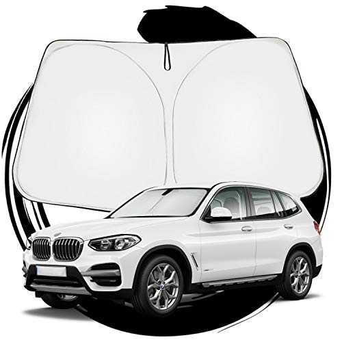 41jzs7dBgbL.jpg