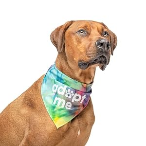 Adopt Me Dog Bandana (Rainbow Scrunch, OS 326) Adopt Me Dog Bandana (Rainbow Scrunch, OS 326)