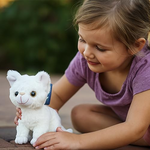 Image of Webby Plush Sitting Cat Soft Toys | Cute Stuffed Animals for Kids and Adults