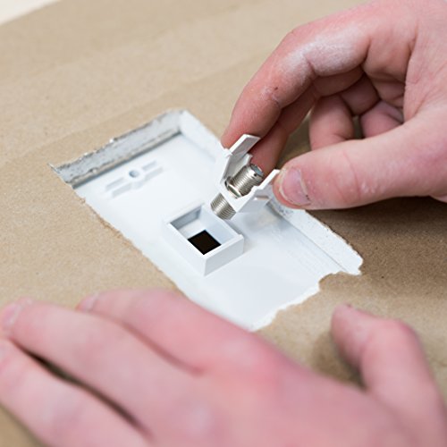 Conector Keystone F-81 OnQ Legrand 1GHz, Blanco x10 miniatura 4