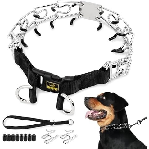 Mayerzon Prong Collar for Dogs Cover