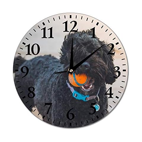 Mesllings Wall Clocks Black Poodle Biting Orange Ball Round Glass Wall Clock, Wall Decor Clocks for Kitchen, Office, Retro Hanging Clock, Home Decor Accessories Cover