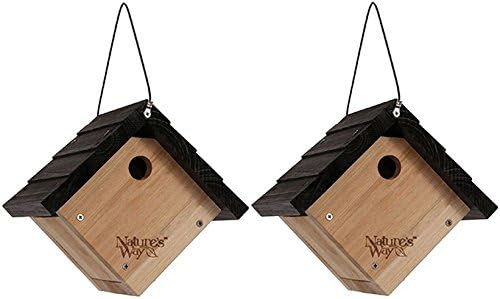 The small, charming Nature's Way Cedar Wren House hanging from a hook.