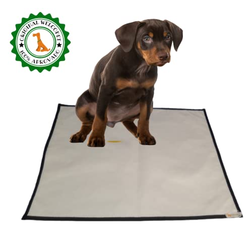 Tapetes Higiênicos Reutilizáveis e Laváveis para Pets Tam G (70 x 90 cm) (Borda Verde)
