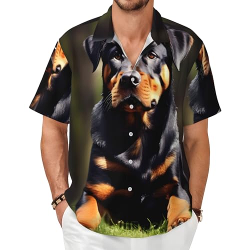 Chemise d'été décontractée motif Rottweiler pour voyage et bureau