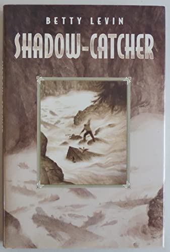 Shadow-Catcher view 2