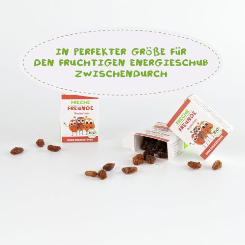 FRECHE FREUNDE Bio süße Snackartikel, ohne Zuckerzusatz, vegan, laktosefrei, glutenfrei (1 Pack, Rosinchen)