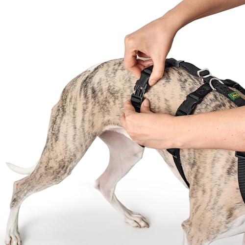 HUNTER Sicherheitsgeschirr VARIO RAPID, Panikgeschirr mit extra Bauchgurt, ausbruchssicher & verstellbar, auch als klassisches Y-Geschirr nutzbar, leichte Klickverschlüsse, Farbe: schwarz, Größe: S-M