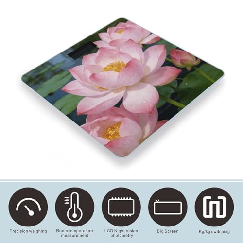 Báscula digital Clear Lotus con pantalla LCD grande miniatura 3