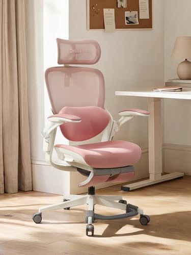 CabLady S2 Petite Office Chair, 330lbs Ergonomic Desk Chair with ...