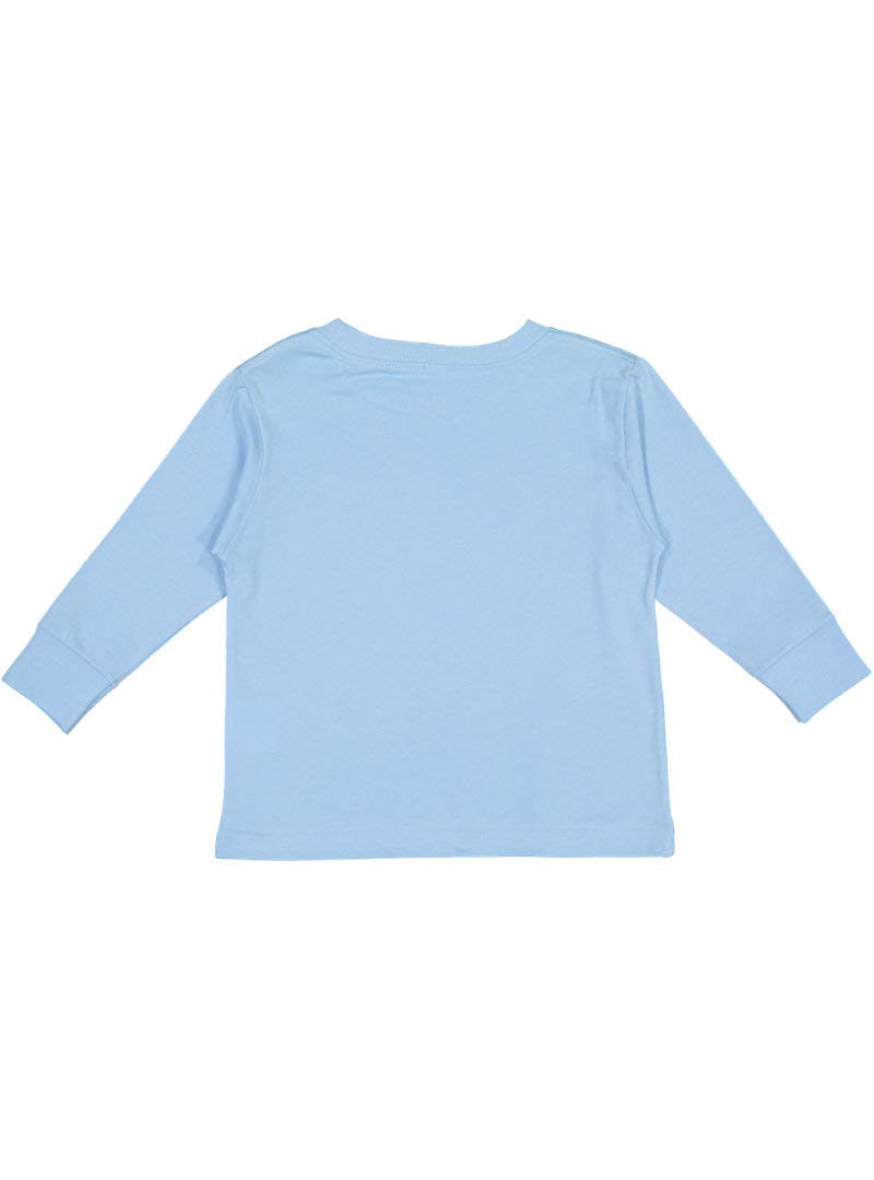 RABBIT SKINS Toddler 100% Cotton Fine Jersey Long Sleeve Tee, Light Blue, 4T