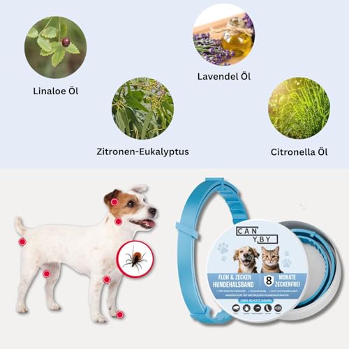 CANYBY Zecken- & Flohhalsband für Katzen und Hunde – Natürlicher Schutz bis zu 8 Monate – Wasserdicht, Verstellbar & mit 100% natürlichen Inhaltsstoffen