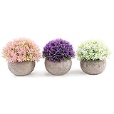 ZNCMRR Mini Artificial Plants Flowers Set of 3 for Home Decorations,Plastic Fake Plants Topiary Shrubs with Gray Pot