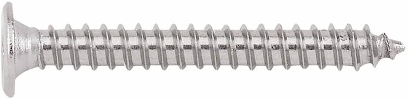Index Fixing Systems CP A2 – Pack of 500 Tapping Screws with Extra-Flat Head and Footprint Phillips Stainless A2), TCPA24222