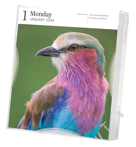 Audubon Birds Page-A-Day Gallery Calendar 2024: Hundreds of Birds, Expertly Captured by Top Nature Photographers - Image 3