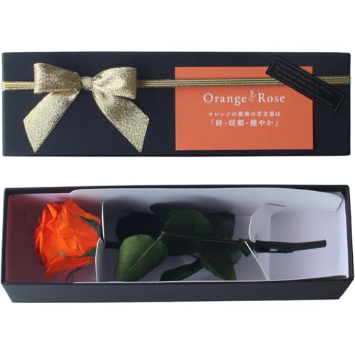 vU[uht[ vU[ht[ ւKN v[g j LO a AW t[Mtg t[AWg ͂Ȃo   ̓ (IWiԌtj)