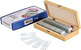 AmScope PS50 Prepared Microscope Slide Set for Basic Biological Science Education, 50 Slides, Includes Fitted Wooden Case