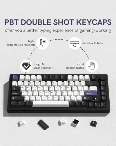 Image of Womier Double Shot PBT Keycaps Set 138 Keys, Cherry Profile Custom Keycaps 60 65 75 100 Percent for 61 /64 /68 /84 /87 /100 /104 /108 Retro Gaming Mechanical Keyboard (Black White2)