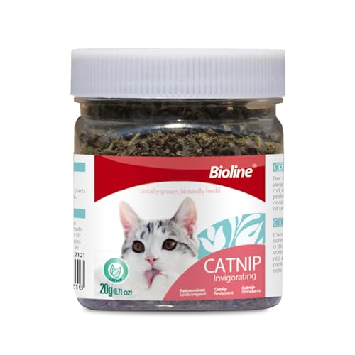 Bioline Invigorating Catnip Leaves Powder Multicolor 20G
