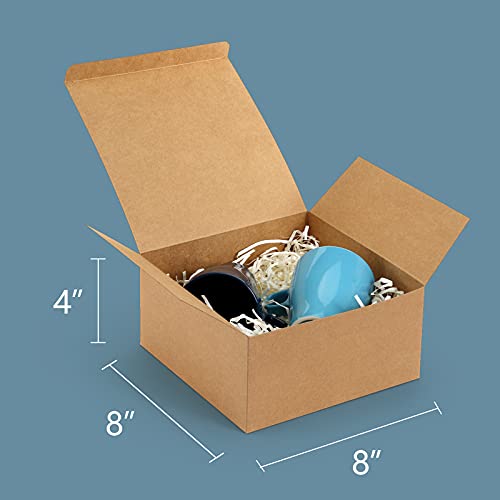 https://m.media-amazon.com/images/I/41k+UDpbXOS._SL500_.jpg