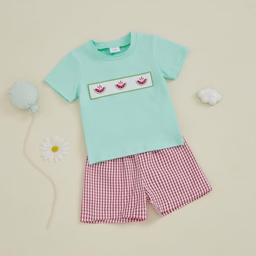 Image of Bonangber Toddler Baby Boy Summer Clothes Fruits Embroidery Short Sleeve T Shirt Plaid Shorts Sets Cute Boys Summer Outfits
