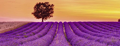 Ravensburger 15068 - Duftender Lavendel – Bild 2