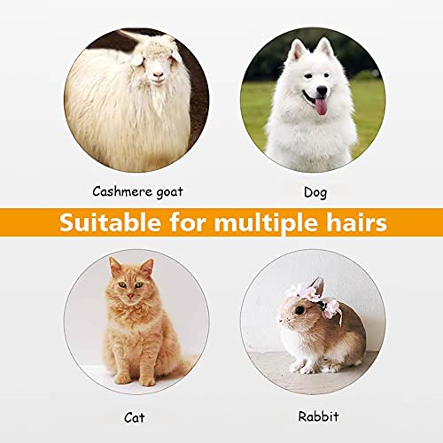 Aparador De PêLos Para CãEs De EstimaçãO E Gatos, Ajuste Macro De Cinco Velocidades, RemovíVel/Com P