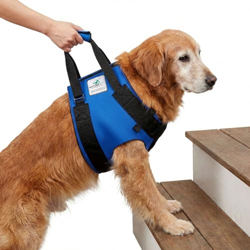 Nature Pet Tragehilfe für Hunde Vorne - Tragegurt als Treppenhilfe & Gehhilfe - Ideal für ältere, kranke oder operierte Vierbeiner - Hunde-Hebegurt für Mobilität (L, Blau)