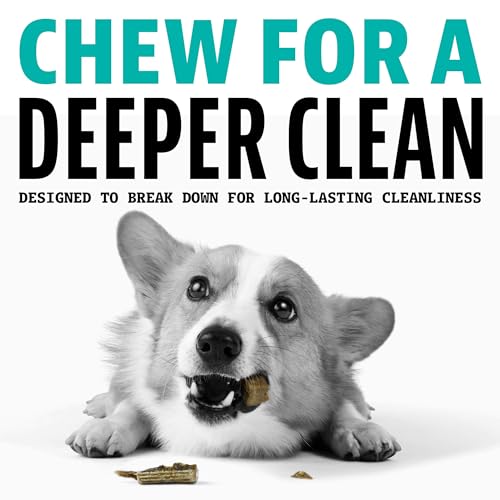Image of Dinovite Dental Chews for Dogs, Triple Action Dental Dog Treats for Medium Breeds, Clinically Proven to Prevent Plaque & Tartar While Freshening Breath, Fresh Mint Flavor, Made in USA, 20 Count