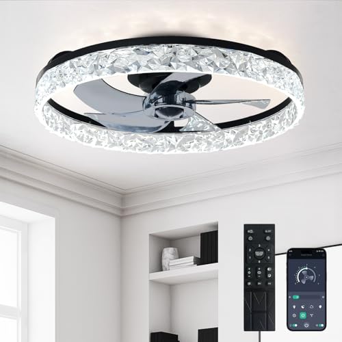 Depuley Bladeless Ceiling Fans with Lights: 20" Black Modern Low