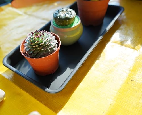 Vuwez 2 Pack Of Plastic Plant Tray Saucer Rectangular thumb #6