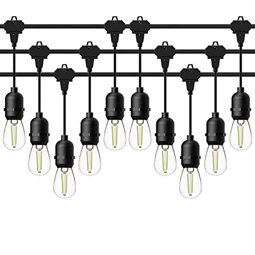 GOODSMANN LED Low Voltage String Lights 12V AC 50FT 10PCS 2W Bulbs 135 Lumens Hanging Landscape...