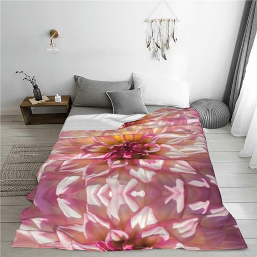Couverture polaire à imprimé pétales roses pour lit et sofa chaud - 8