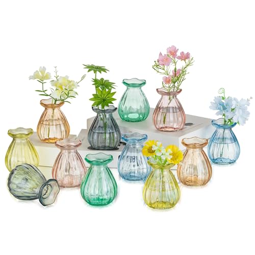 Hewory Small Bud Vases for centerpieces: 12 Pcs Glass Colored Vas...
