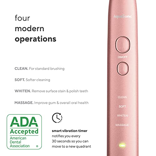 Aquasonic Vibe Series Ultra Whitening Toothbrush ADA Accepted Power Toothbrush 8 Brush Heads
